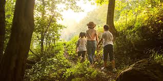 You can also change your preferences at any time by clicking on cookie preferences in the footer of each page. What Price Tag Would You Put On A Walk In The Woods Ensia