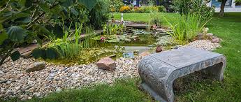 Original japan koi, sowie andere teichfisch. Wasser Im Garten Pool Teich Gartenbau Lang Gmbh