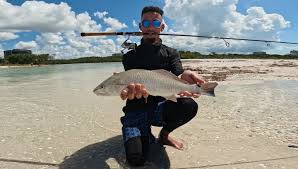What coming to the beach with me looks like 😎🤙🏼 #fishing #fish  #fishinglife #nature #sea #outdoors #bassfishing #catchandrelease #pesca  #photography #hunting #flyfishing #fisherman #travel #bass #fishingtrip  #angler #ocean #like #boat #beach #tarpon #