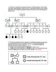 Pedigree analysis worksheet as a derivative of large concepts solution questions. Dustin Pedigree 1 Albinism Is Inherited As An Autosomal Recessive In The Figure Below Circle All Those Individuals Whose Genotype Is Known To Be Aa 7 Course Hero