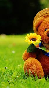 Wallpaper Teddy Bear Iphone Best Hd Wallpapers Teddy Bear Wallpaper Teddy Bear Pictures Bear Wallpaper