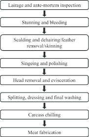 flow diagram of essential abattoir processing steps in the