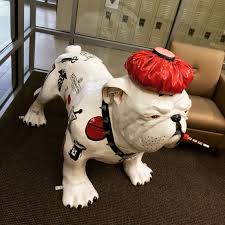 College Of Pharmacy Bulldog Art Bulldog Statue Bulldog Drawing