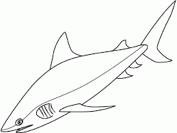 Coloring pages pictures of sharks to draw. Coloring Pictures Of Sharks Coloring Home