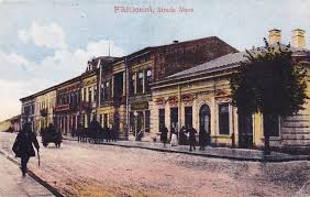 This project seeks to collect all of the jewish families from falticeni, romania. FÄƒlticeni Antebelica Street View Scenes Views