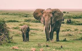 Lock tables implicitly releases any table locks held by the current session before acquiring new locks. Patching Plain Postgresql For Parallel Postgis Plans Carto Blog