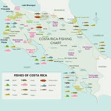 Costa Rica Hotels Lodges Best Prices Ecocostaricatravel