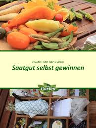 Saatgut Gewinnen In 2020 Saatgut Pflanzen Mdr Garten