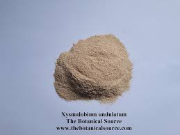 Image result for Xysmalobium