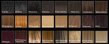 Color Chart African Hair Braiding Mn