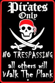 Jolly Roger Pirate Theme Party Pirate Theme Pirate Party