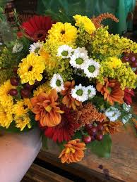 We did not find results for: Fall Wildflower Clutch Of Viking Mums Bronze Daisy Mums White Micro White Daisy Mums Yellow Aster Red Gerbe Hypericum Berries Gerbera Daisy Wedding Flowers