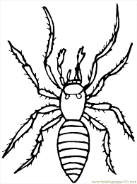 You could also print the picture by clicking the print button above the image. Halloween Spider Coloring Pages Coloring Home
