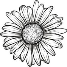 Black And White Daisy Flower Tattoo Black And White Gerbera Gerber Daisy Flower Vinyl Decal Sticker 4 Daisy Drawing Daisy Flower Tattoos Daisy Tattoo