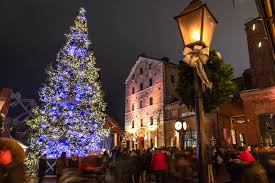 Risultati immagini per toronto christmas tree 2019 images