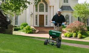 I highly recommend them to others wanting to get their lawn in order. Master Lawn Vs Lawn Doctor Of Desoto County 2 Northern Ms Lawn Service Options