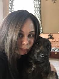 Lost female dalmatian mix in Los Molinos, CA