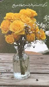 خلفيات ايفون ورد اصفر iphone wallpapers download iphone wallpaper glass vase wallpaper