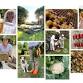 An evening with Waggle & Forage