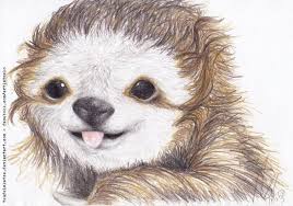 Sloth Skeleton Sloth Drawing Sloth Art Cute Sloth Pictures