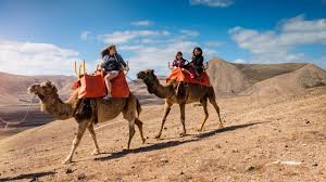 Dubai, located in the middle of dubai desert has chosen to be the local specialist of all kinds of desert safari. Book Dubai Desert Quad Bike Sand Surf And Camel Ride Dotravel