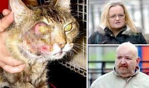 How cats can understand their owners' voices but play dumb as a form of survival. Warning Graphic Couple Who Let Cat Suffer With Horror Tumour Banned From Keeping Pets Uk News Express Co Uk