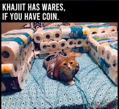 17 Funny Cat Memes About Being Quarantined In 2020