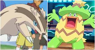 Best hm slaves pokemon