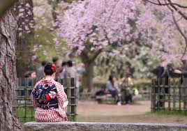 Hanami / 花見 Images?q=tbn:ANd9GcSSE_jzG2dxPIVqVM9EfKHZ3JoJqMHhLKRZR-GluKaCfg4hgtkl