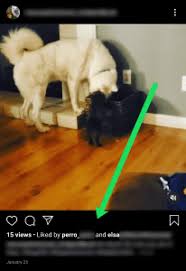 Best practices for doing polls on instagram story posts. How Does Instagram Choose The Displayed Profile Names On Likes