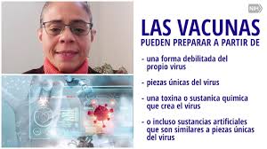 La adquisición de la vacuna es coordinada y autorizada para su uso por la comisión europea, según lo establecido por la agencia europea de. Que Es Una Vacuna