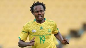 Percy's birth flower is lily of the. Wkm2uw6omnypbm