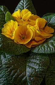 Церковные праздники, дни памяти святых, постные и поминальные дни — все важные даты мая можно узнать из православного календаря. 7 Fevralya 2021 Kakoj Segodnya Prazdnik Lunnyj Den I Chej Den Angela