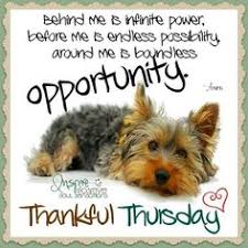 Maybe you would like to learn more about one of these? Happy And Funny Thursday Quotes Fit For Fun