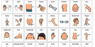 We did not find results for: Pin On Autism