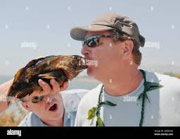 Frank heller hi-res stock photography and images