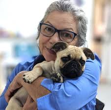 Meet Our Team-Meow & Friends Community Vet