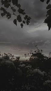 Black And Grey Aesthetic Wallpaper Background Fotografi Alam Ilustrasi Alam Fotografi Abstrak