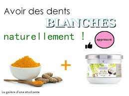 Comment Avoir Des Dents Blanches Dog Food Recipes Food Animals Food