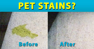 Simply, you can access my pet peed's site, we constantly update both the latest and previous coupon codes that are fully shown on the list of my pet peed coupons. My Pet Peed Pet Urine Remover Mypetpeed Profile Pinterest