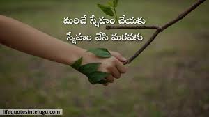 Friends are the best and the most important part of our life. Friendship Quotes In Telugu Friendship Telugu Quotes