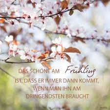 Wann kommt das warme frühlingswetter? Das Schone Am Fruhling Ist Dass Er Immer Dann Kommt Wenn Man Ihn Am Dringendsten Braucht Zitat Spruch Fruhling Spruche Fruhling Zitate Tiefsinnige Spruche