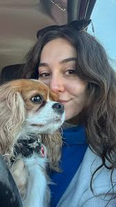 King Charles Cavalier Parade