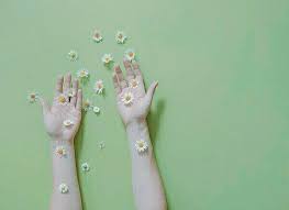 Explore akemihy's board pastel green theme, followed by 137 people on pinterest. Pinterest Sinterina Mint Green Aesthetic Green Aesthetic Mint Aesthetic