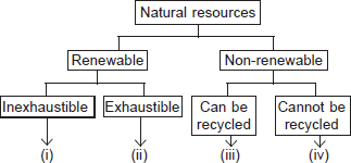 P Refer To The Given Flow Chart And Identify I Ii Iii And Iv