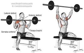 Seated Barbell Shoulder Press Guide And Video Weight Training Guide Shoulder Workout Barbell Workout Barbell Shoulder Press