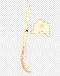 Maybe you would like to learn more about one of these? Seahorse Syngnathiformes Animal Organism Chile Animals Animal Png Pngegg