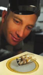 Missouri ANG pilot hits milestone with 1,000 flying hours in B-2 Spirit