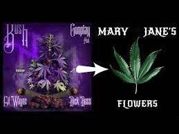 Maybe you would like to learn more about one of these? Mary Jane S Flowers Kush Gunplay Ft Lil Wayne Kiriunique Youtube
