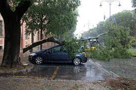Jun 22, 2019 · pubblicato da emilia romagna meteo su sabato 22 giugno 2019 grandinata a modena le condizioni meteo sono improvvisamente peggiorate nelle prime ore del pomeriggio con i primi rovesci che hanno interessato modena, dove una violenta grandinata ha distrutto o danneggiato i vetri di molte finestre e quelli di molte automobili. Meteo Modena La Grandine Del 22 Giugno 2019 Meteo Ilrestodelcarlino It